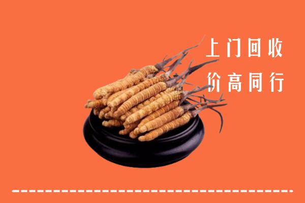 高价求购：北京昌平区回收散虫草
