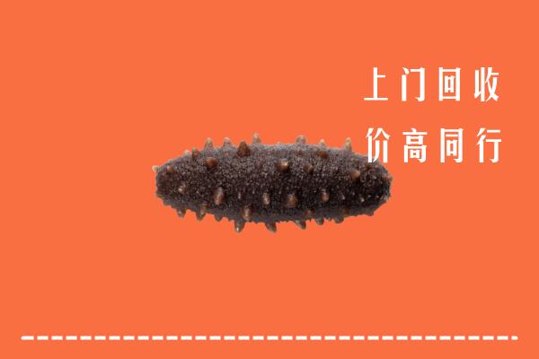 高价求购：北京昌平区回收海参